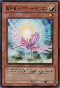 ��6��/DP09-JP008������ε �������������ɥ饴��