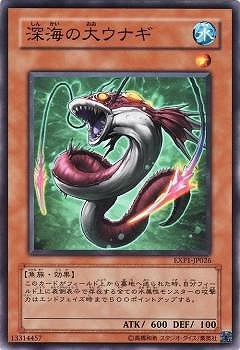 ��6��/EXP1-JP026���������祦�ʥ�