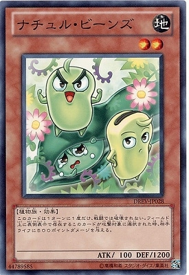 ��7��/1��/DREV-JP028���ʥ���롦�ӡ���