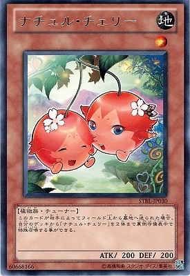 ��7��/2��/STBL-JP030���ʥ���롦�����꡼��R