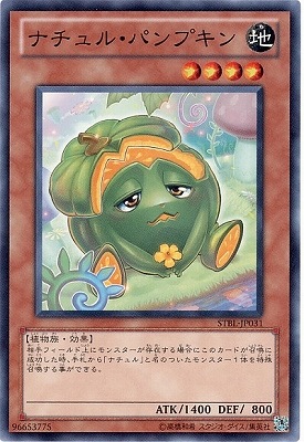 ��7��/2��/STBL-JP031���ʥ���롦�ѥ�ץ���