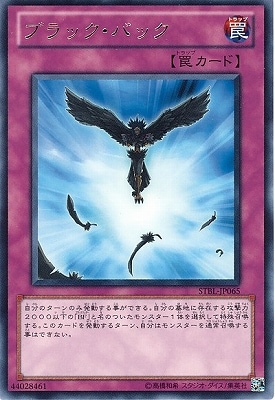��7��/2��/STBL-JP065���֥�å����Хå���R