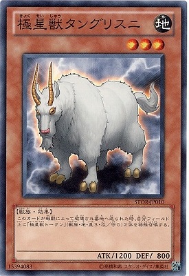 ストーム・オブ・ラグナロク(STOR)