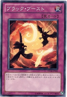 ��7��/3��/STOR-JP065���֥�å����֡�����