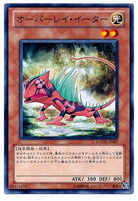 ��7��/8��/GAOV-JP007�������С��쥤����������