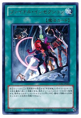 ��7��/8��/GAOV-JP060���ե����ʥ롦���󥼥������R