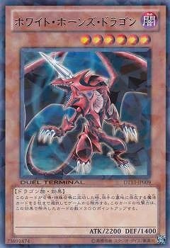 7/DT13-JP009ۥ磻ȡۡ󥺡ɥ饴R