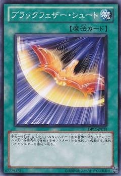 ��7��/DP11-JP019���֥�å��ե����������塼��