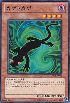 ��7��/DP12-JP008�������ȥ���