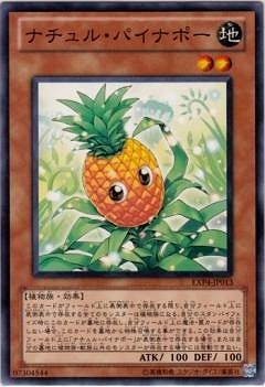 ��7��/EXP4-JP013���ʥ���롦�ѥ��ʥݡ�