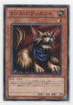 ��7��/BE02-JP049���ߥꥹ����ǥ������