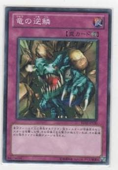 竜の逆鱗
