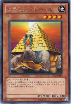 ピラミッド・タートル