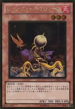 ��7��/GS04-JP008��������ե��������֥��å��ࡡGR�ڥ�����ɥ쥢��