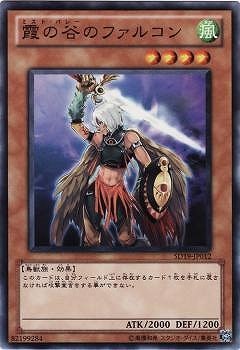 ��7��/SD19-JP012�����ë�Υե��륳��