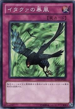 ��7��/SD19-JP030������������˽��