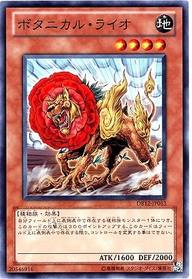 ��7��/DB12-JP013���ܥ��˥��롦�饤��