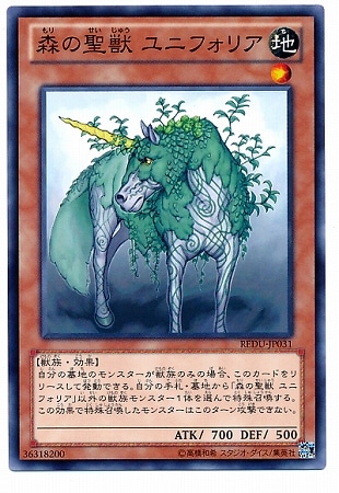 ��8��/1��/REDU-JP031���������� ��˥ե��ꥢ