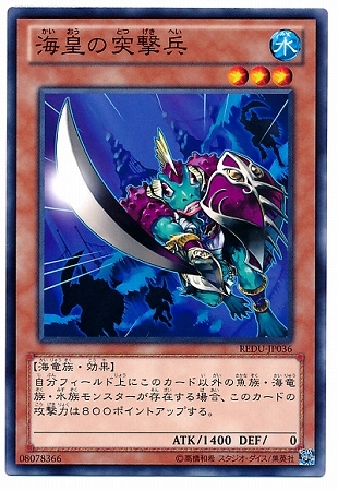 ��8��/1��/REDU-JP036�����Ĥ��ͷ�ʼ