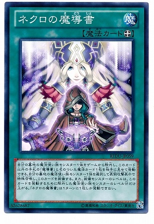 ��8��/1��/REDU-JP059���ͥ�������Ƴ��
