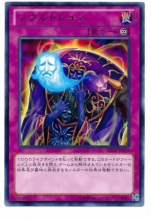 ��8��/1��/REDU-JP078��������ɥ쥤��R