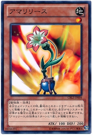 ��8��/3��/CBLZ-JP004�����ޥ�꡼��