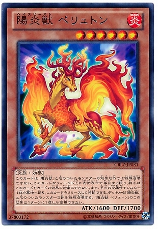 ��8��/3��/CBLZ-JP031���۱�� �ڥ��ȥ�R