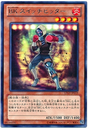 8/4/LTGY-JP019£ åҥåR