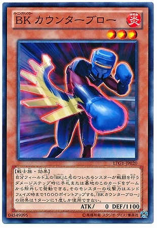 8/4/LTGY-JP020£ 󥿡֥