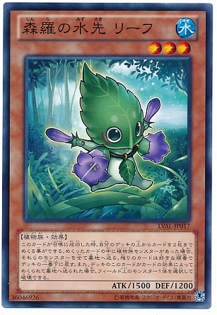 ��8��/7��/LVAL-JP017������ο��� �꡼��