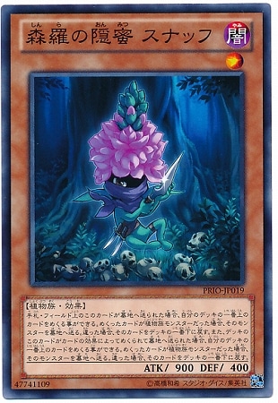 8/8/PRIO-JP019α̪ ʥå