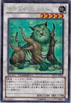 ��8��/DTC1-JP082���ʥ���롦�ӡ����ȡڥ�������åȥ쥢��