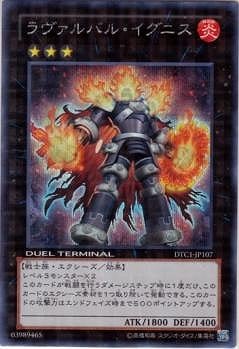 8/DTC1-JP107Х롦˥ڥåȥ쥢