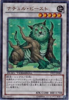 ��8��/DTC1-JP082���ʥ���롦�ӡ����ȡڥ���ȥ�쥢��