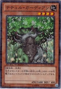 ��8��/DTC1-JP059���ʥ���롦�����ǥ�����ڥ����ѡ��쥢��