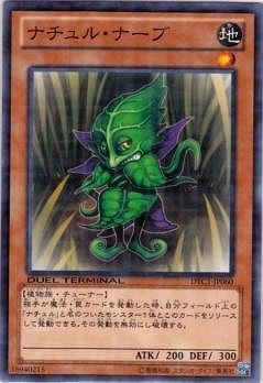 第8期/DTC1-JP060 ナチュル・ナーブ | 遊戯王OCG,【OCG】その他,DUEL