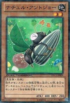 ナチュル・アントジョー