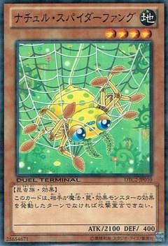 ��8��/DTC2-JP010���ʥ���롦���ѥ������ե���