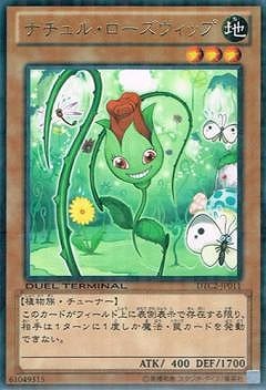 ��8��/DTC2-JP011���ʥ���롦�����������åס�R