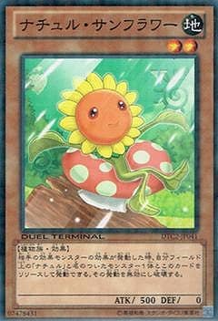 ナチュル・サンフラワー