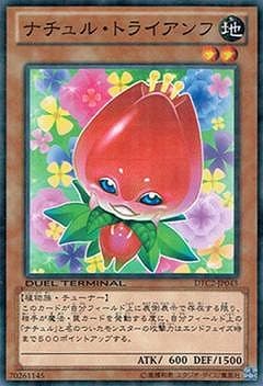 ��8��/DTC2-JP043���ʥ���롦�ȥ饤�����