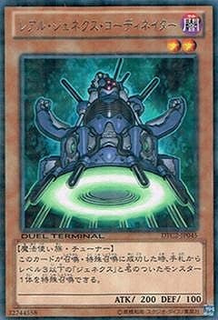 ��8��/DTC2-JP045���쥢�롦�����ͥ����������ǥ��ͥ�������R