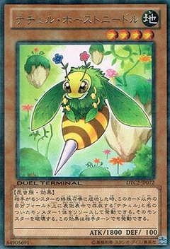 ��8��/DTC2-JP072���ʥ���롦�ۡ����ȥˡ��ɥ롡R