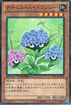 8/DTC2-JP074ʥ롦ϥɥ󥸡