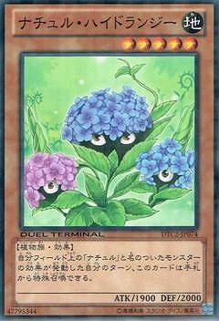 ��8��/DTC2-JP074���ʥ���롦�ϥ��ɥ�󥸡�