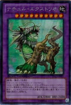 ��8��/DTC3-JP055���ʥ���롦�������ȥꥪ�ڥ�������åȥ쥢��