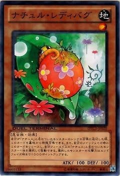 ナチュル・レディバグ