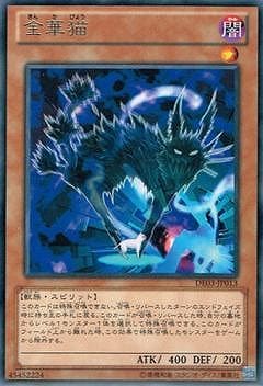 金華猫