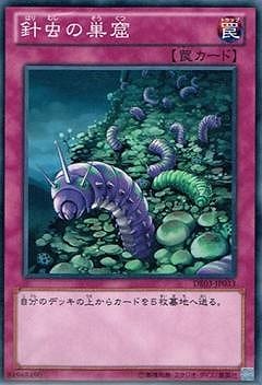 針虫の巣窟