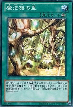 魔法族の里